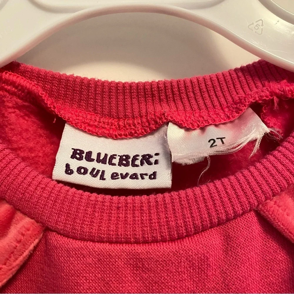 Blueberi Boulevard Toddler Girl's Ruffled Fleece Long Sleeve Dress Rose Pink 2T